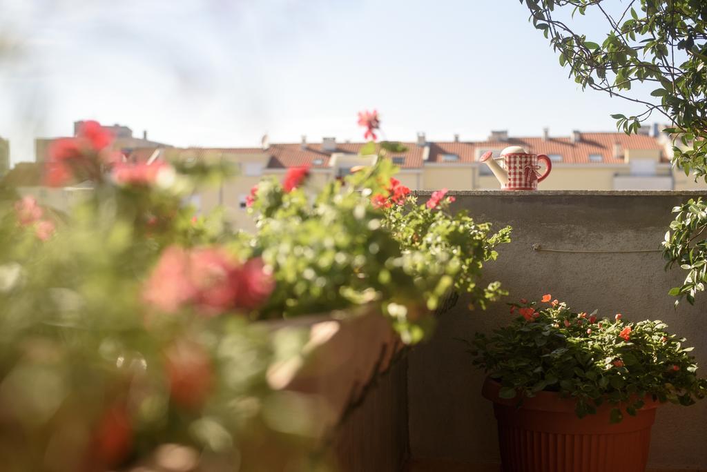 Basic Apartman Apartment Zadar Exterior photo